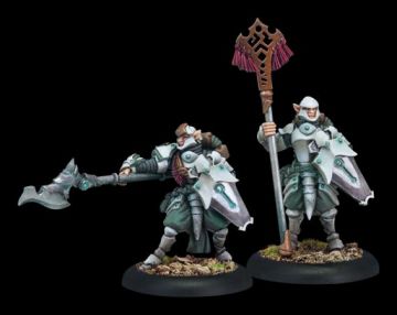 (image for) 35029 Houseguard Halberdier Officer & Standard
