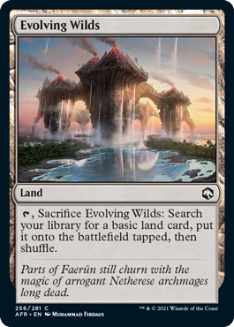 (image for) Evolving Wilds