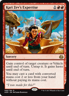 (image for) Kari Zev's Expertise