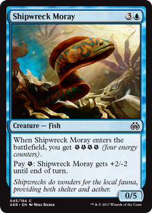 (image for) Shipwreck Moray