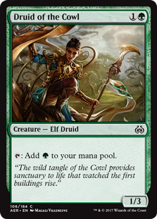 (image for) Druid of the Cowl (Foil)