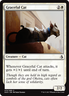 (image for) Graceful Cat