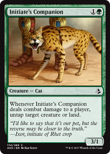 (image for) Initiate's Companion