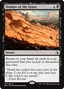 (image for) Shadow of the Grave