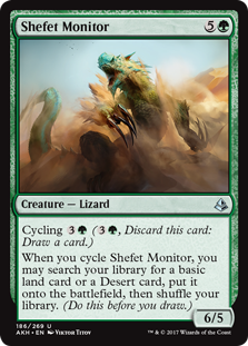 (image for) Shefet Monitor