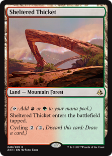 (image for) Sheltered Thicket (Foil)