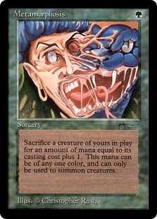 (image for) Metamorphosis