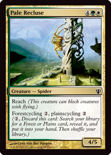 (image for) Pale Recluse