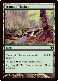 (image for) Tranquil Thicket