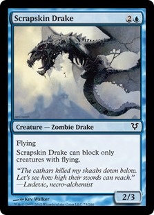 (image for) Scrapskin Drake