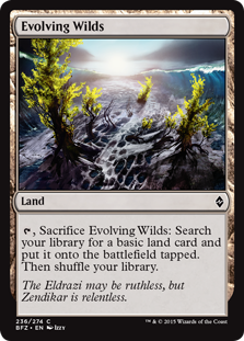 (image for) Evolving Wilds (Foil)