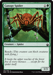 (image for) Canopy Spider
