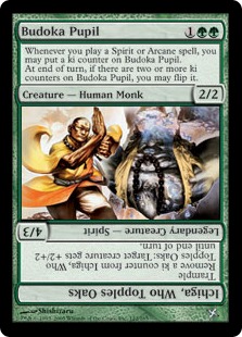 (image for) Budoka Pupil