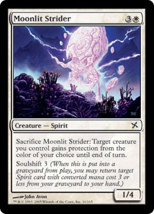 (image for) Moonlit Strider