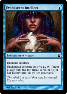 (image for) Evanescent Intellect