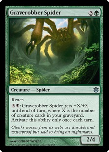 (image for) Graverobber Spider