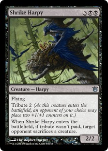 (image for) Shrike Harpy