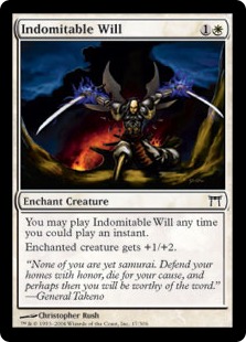 (image for) Indomitable Will