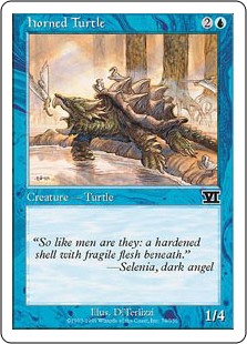 (image for) Horned Turtle