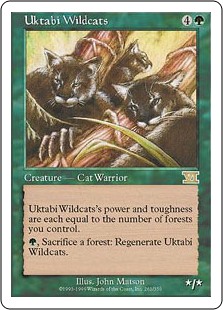(image for) Uktabi Wildcats