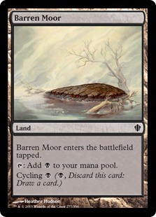 (image for) Barren Moor