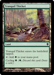 (image for) Tranquil Thicket