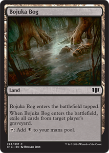 (image for) Bojuka Bog