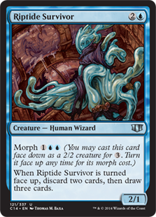 (image for) Riptide Survivor