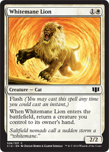 (image for) Whitemane Lion