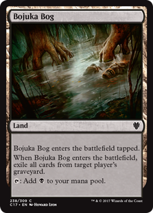 (image for) Bojuka Bog