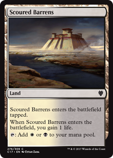 (image for) Scoured Barrens