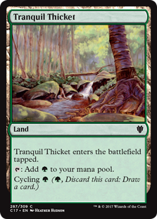 (image for) Tranquil Thicket