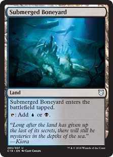 (image for) Submerged Boneyard