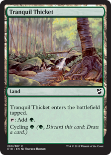 (image for) Tranquil Thicket