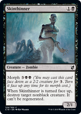 (image for) Skinthinner