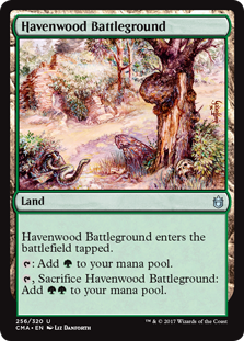 (image for) Havenwood Battleground
