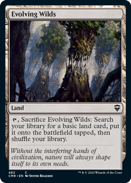 (image for) Evolving Wilds (Foil)