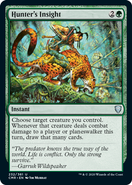 (image for) Hunter's Insight (Foil)