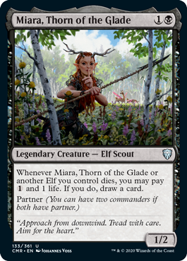 (image for) Miara, Thorn of the Glade