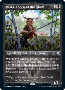 (image for) Miara, Thorn of the Glade