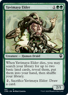 (image for) Yavimaya Elder (Foil)