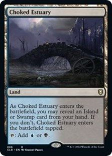 (image for) Choked Estuary