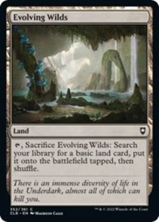 (image for) Evolving Wilds (Foil)