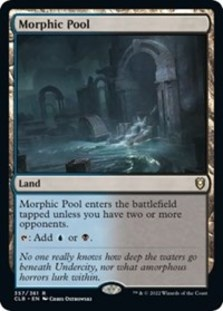 (image for) Morphic Pool (Foil)