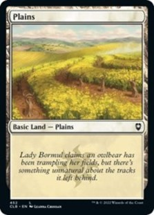 (image for) Plains (452) (Foil)