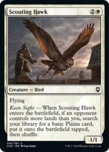 (image for) Scouting Hawk (Foil)