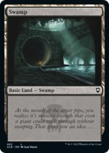 (image for) Swamp (462) (Foil)