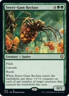 (image for) Sweet-Gum Recluse