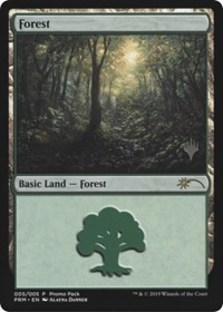 (image for) Forest