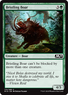 (image for) Bristling Boar